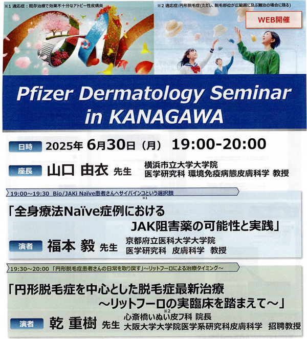 web-seminar